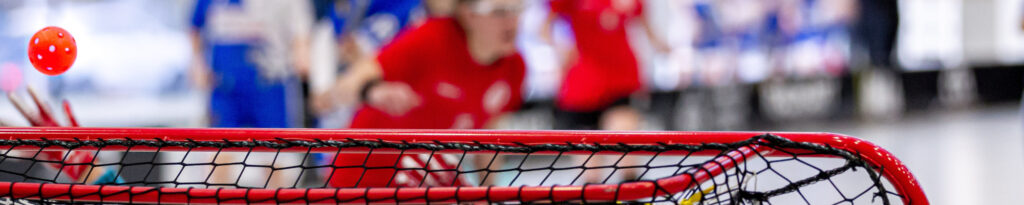 Eine Nachaufnahme von einem Floorballtor, im Hintergrund unscharf einige Personen