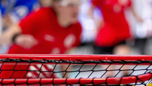 Unihockey (Floorball) Freizeitgruppe