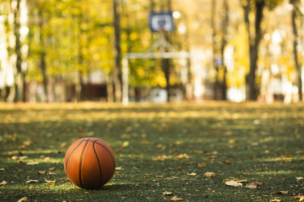 Ein Basketball liegt auf einer Wiese, dazu liegen Blätter auf dem Boden, im Hintergrund unscharf ein Fußballtor und ein Basketballkorb