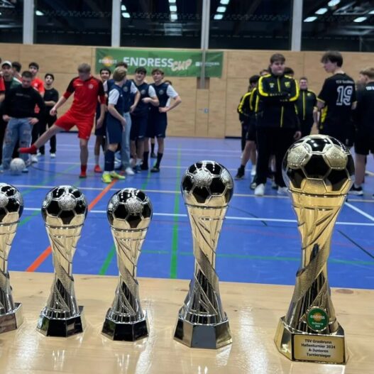 Jugendfussball Hallenturniere 2025